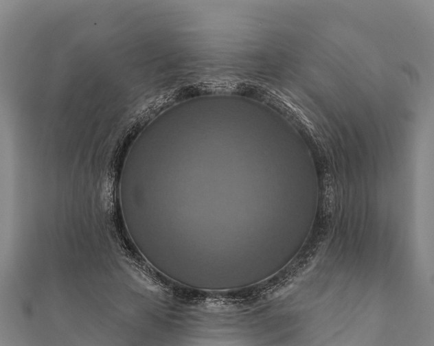 X0000112100641200908181326