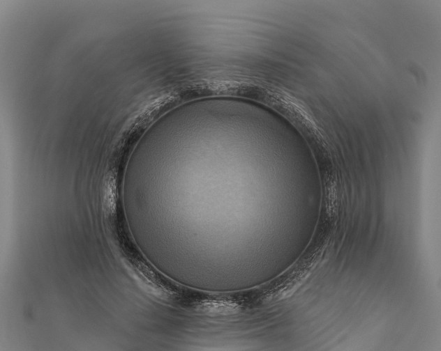 X0000112100644200908181326