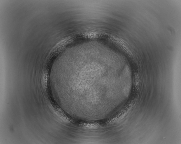 X0000112100645200908181326