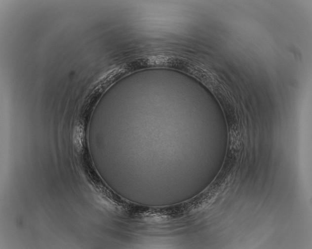 X0000112100648200908181326