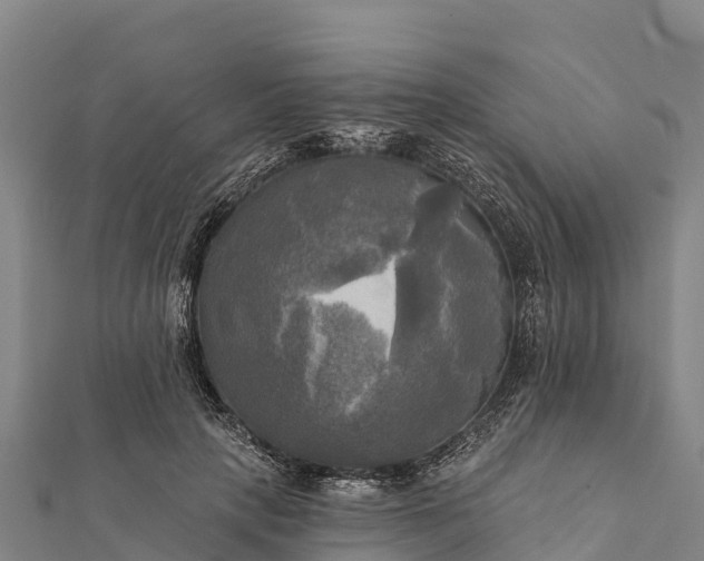 X0000112100649200908181326