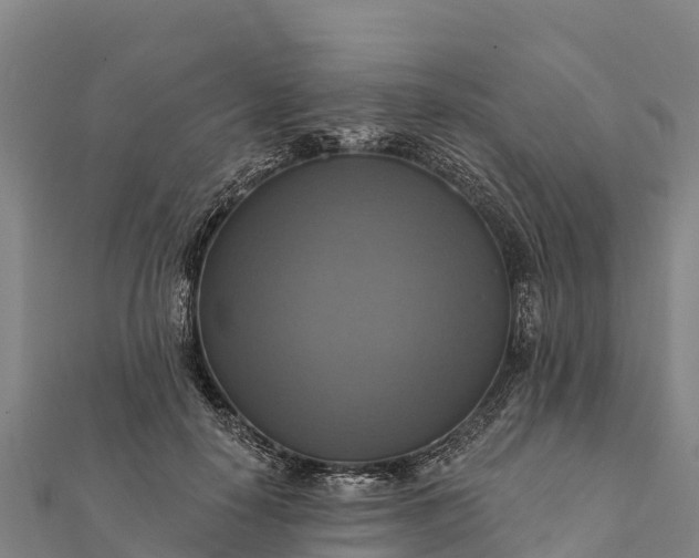 X0000112100650200908181326