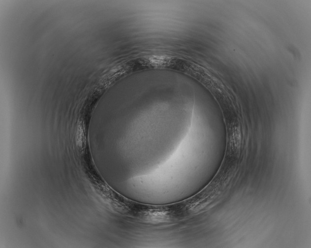 X0000112100651200908181326