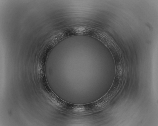 X0000112100653200908181326