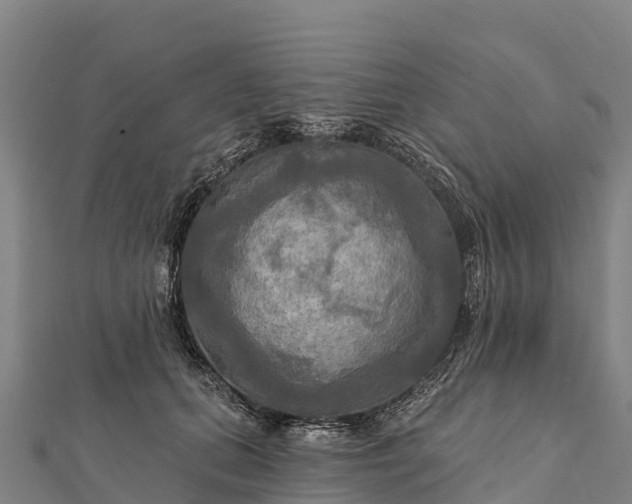 X0000112100655200908181326