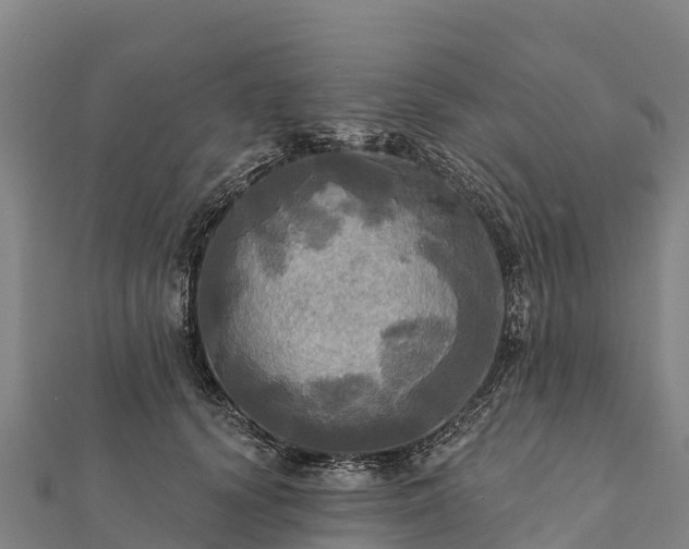 X0000112100656200908181326