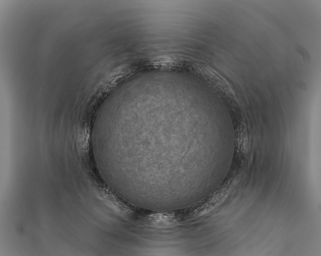 X0000112100660200908181326