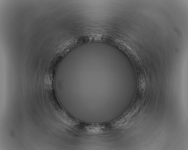 X0000112100661200908181326