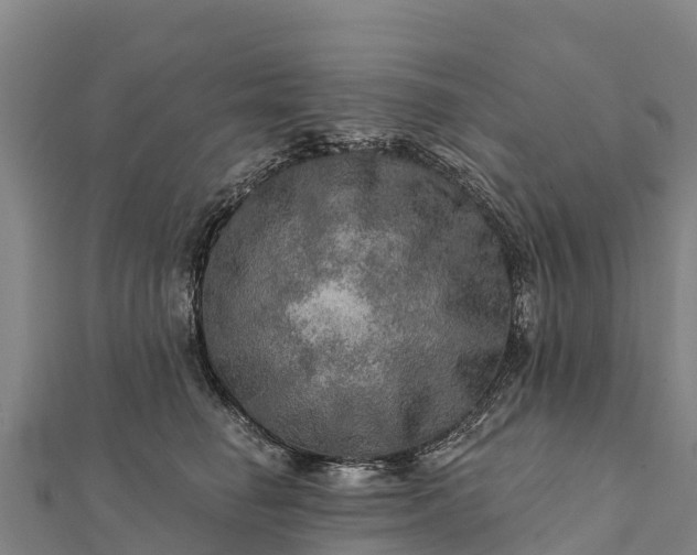 X0000112100662200908181327