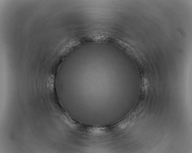 X0000112100664200908181327