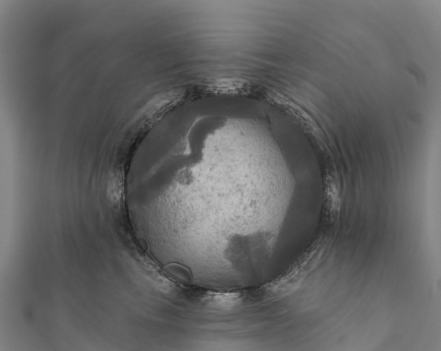 X0000112100665200908181327