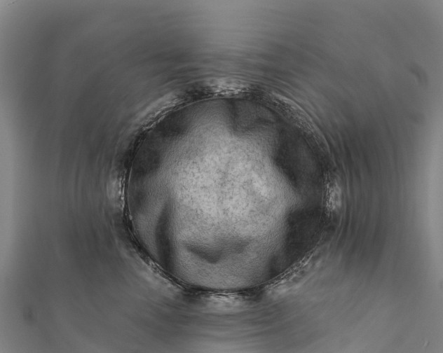 X0000112100666200908181327