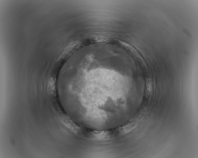 X0000112100667200908181327