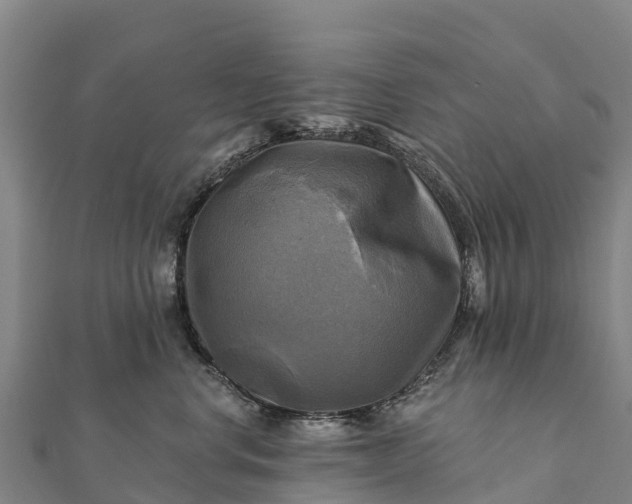 X0000112100668200908181327