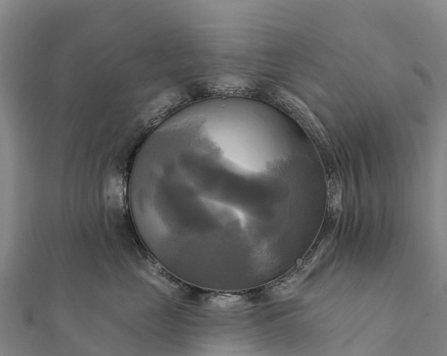 X0000112100669200908181327