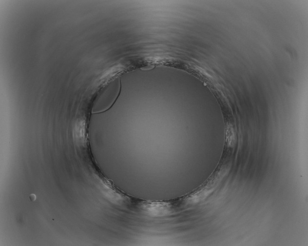 X0000112100670200908181327