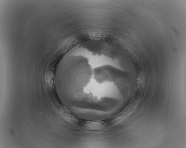 X0000112100671200908181327