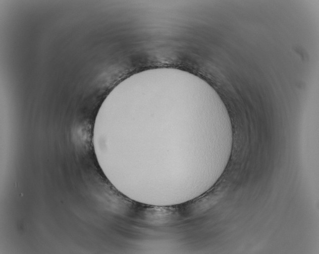 X0000112100672200908181327