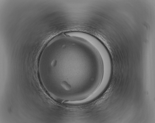 X0000112100673200908181326