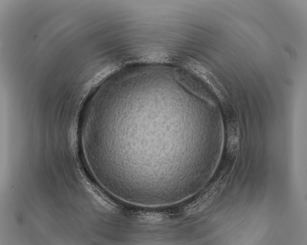 X0000112100677200908181326