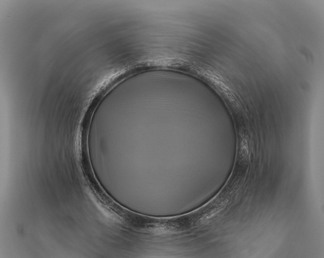 X0000112100678200908181326