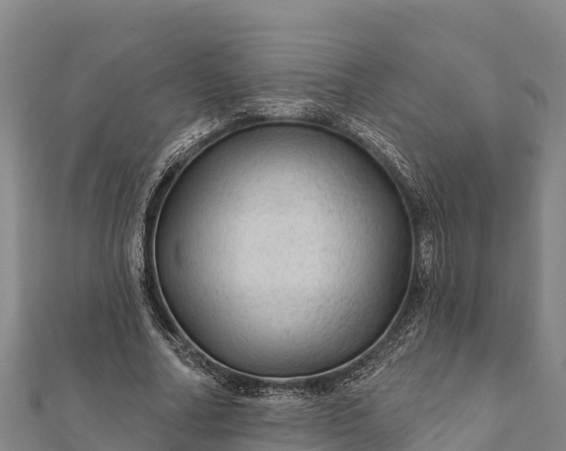 X0000112100682200908181326