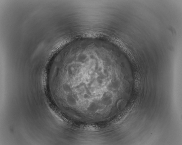 X0000112100683200908181326