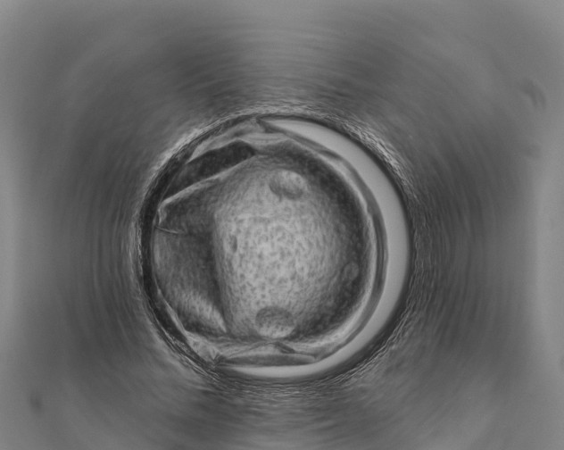 X0000112100684200908181326