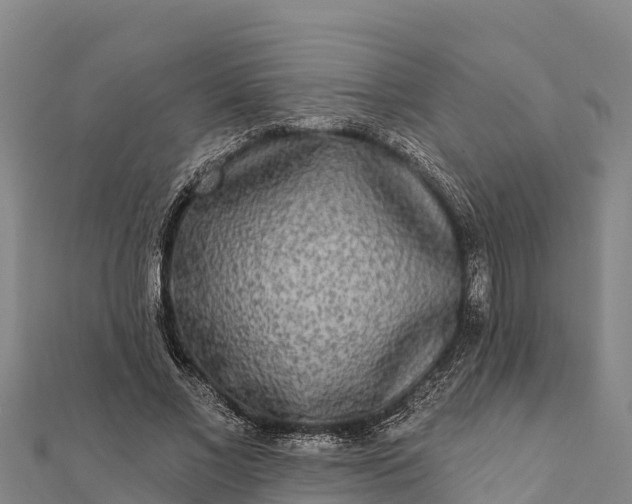 X0000112100685200908181326