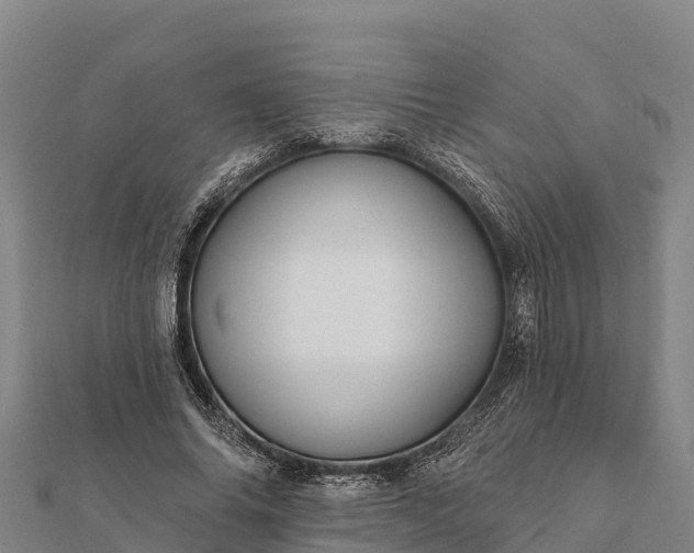 X0000112100686200908181326