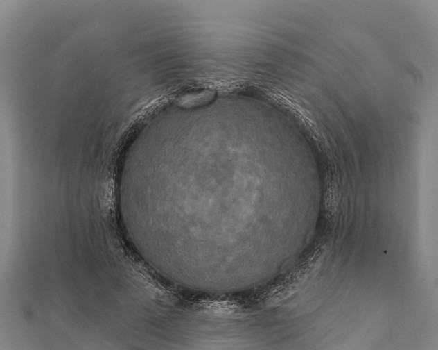 X0000112100689200908181326