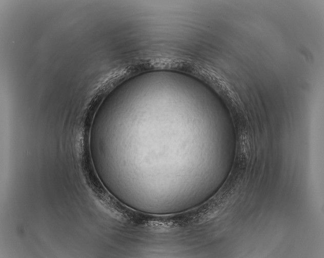 X0000112100690200908181326