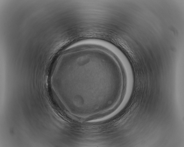 X0000112100692200908181326