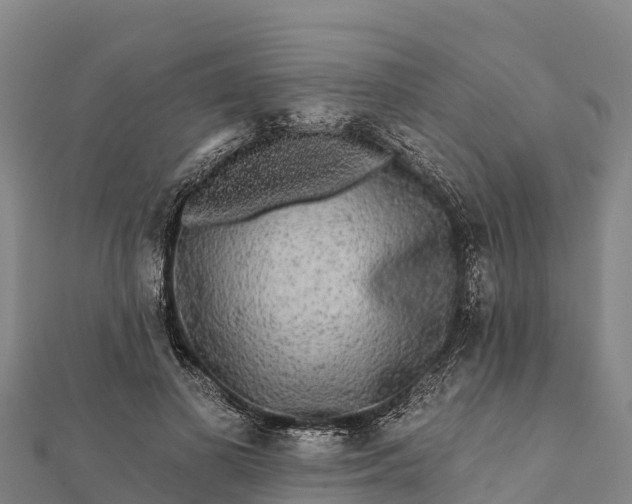 X0000112100693200908181326