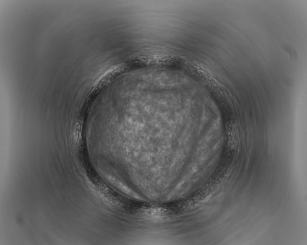 X0000112100695200908181326