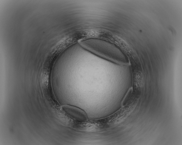 X0000112100697200908181326