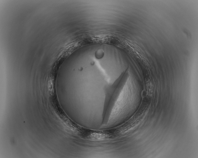 X0000112100699200908181326