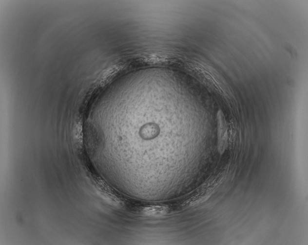 X0000112100700200908181326