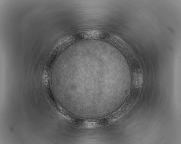 X0000112100701200908181325