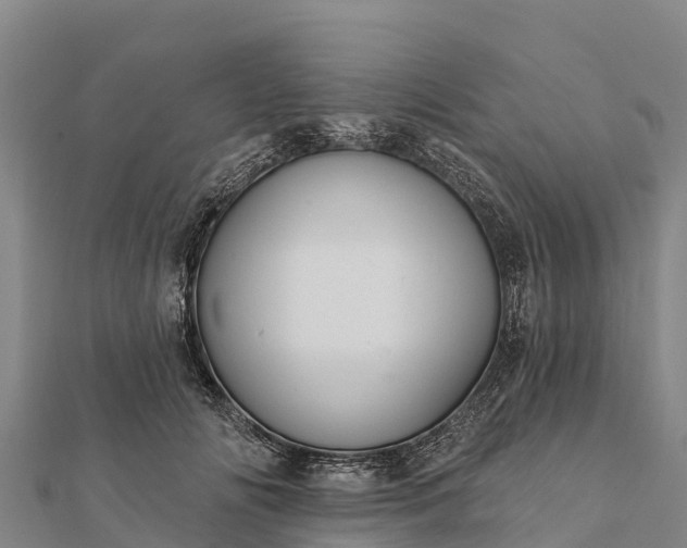 X0000112100702200908181325
