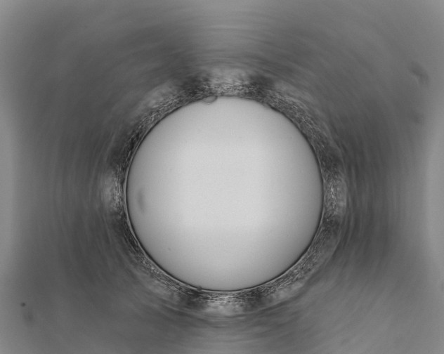 X0000112100705200908181325