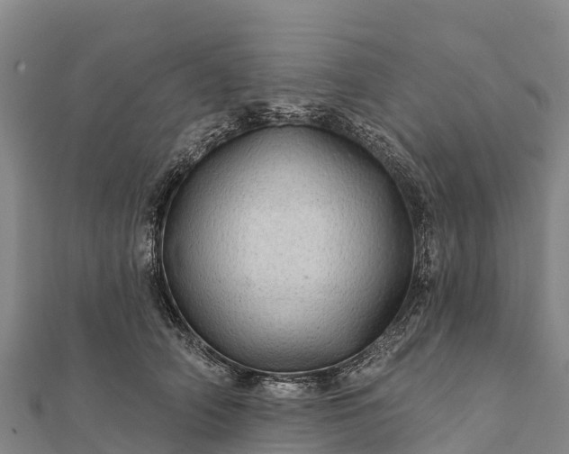 X0000112100706200908181325