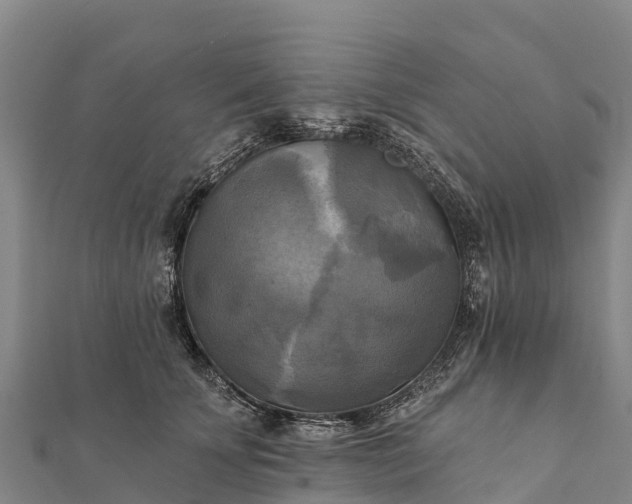 X0000112100707200908181325