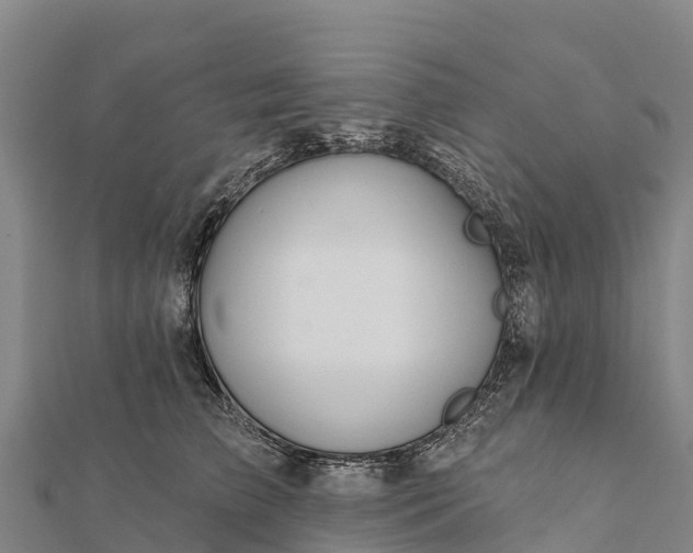 X0000112100709200908181325