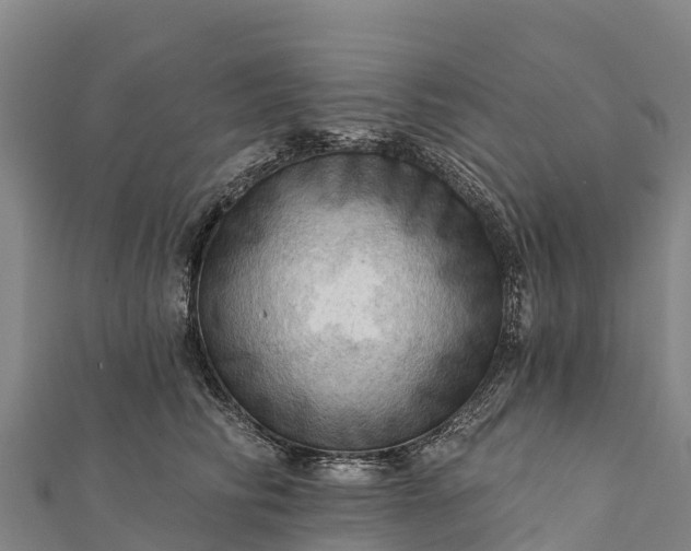 X0000112100710200908181325
