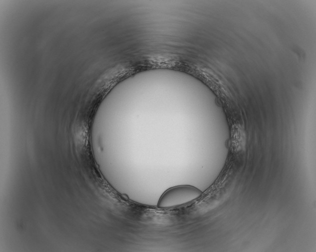 X0000112100713200908181325