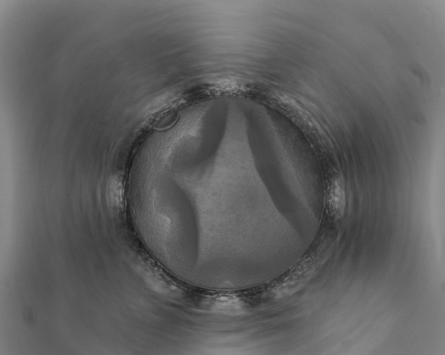 X0000112100715200908181325