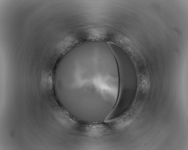 X0000112100716200908181325