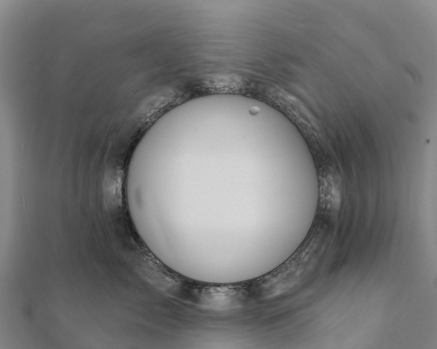 X0000112100717200908181325