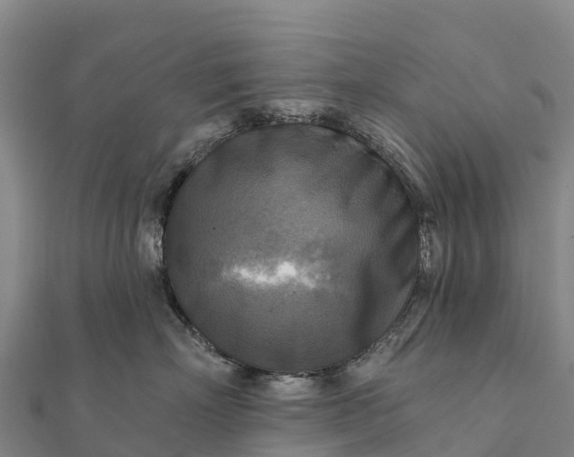 X0000112100718200908181325